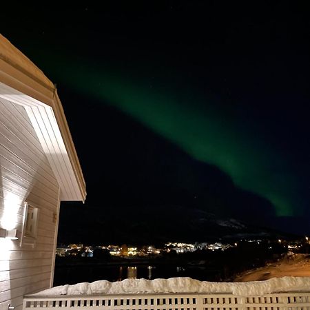 Studio Seaside Tromsø Zewnętrze zdjęcie