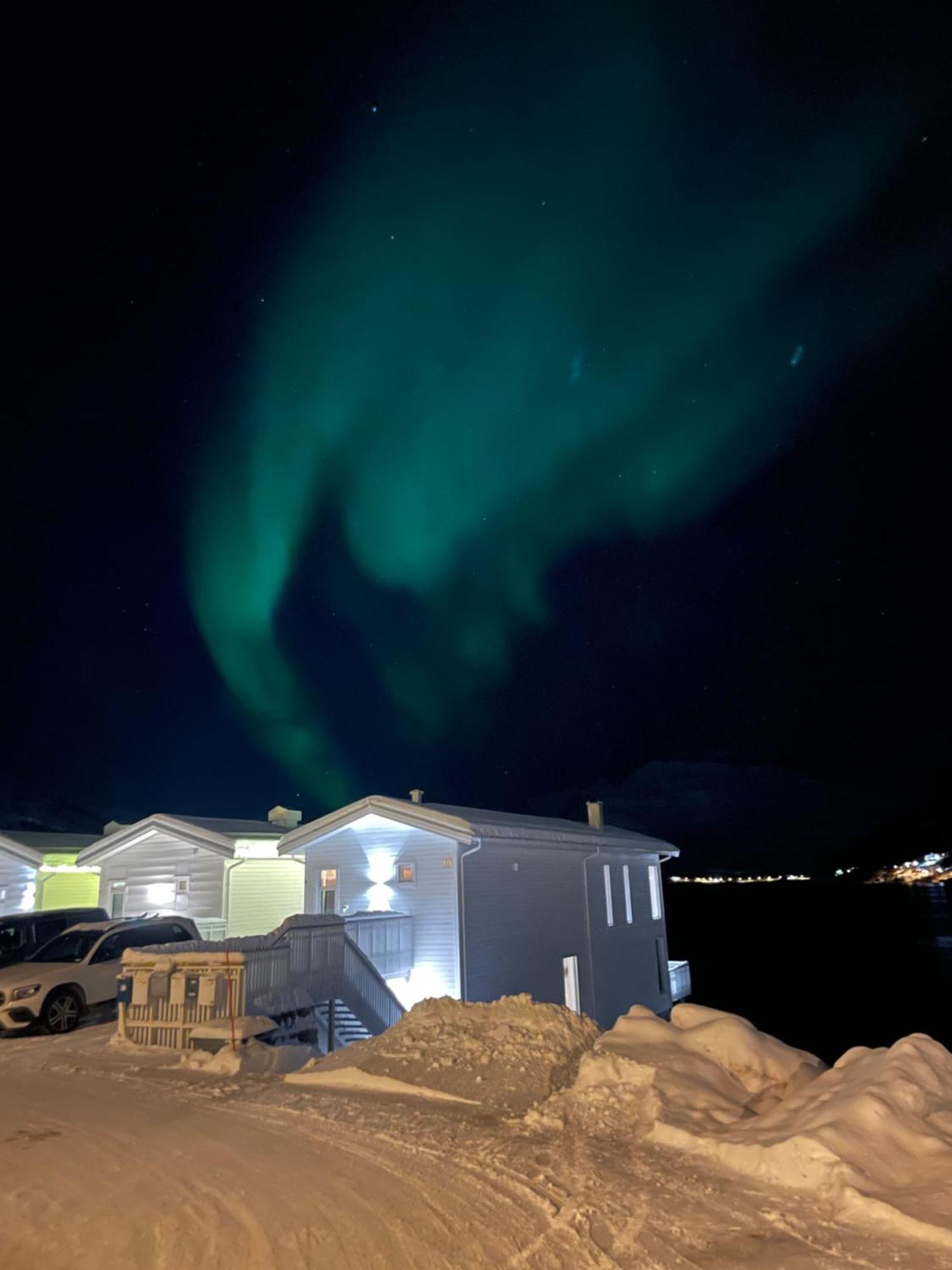 Studio Seaside Tromsø Zewnętrze zdjęcie